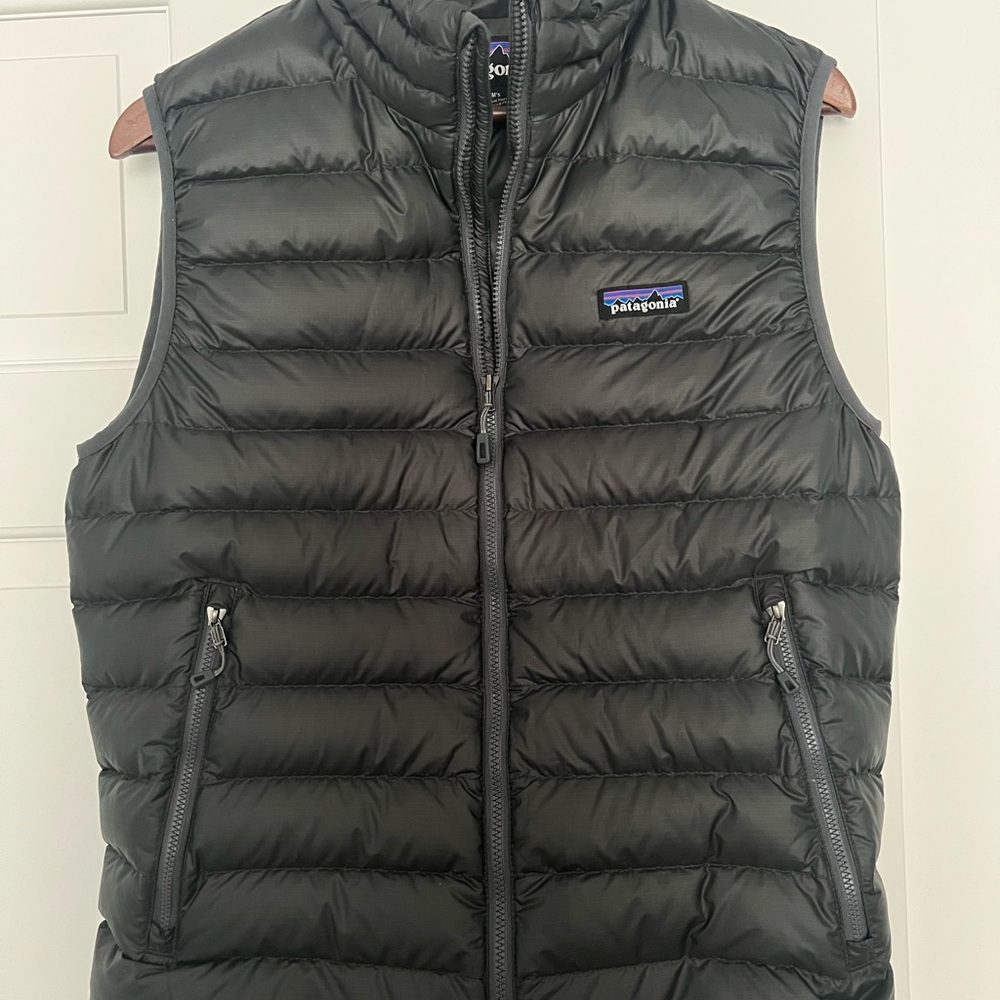 Patagonia Men's down vest